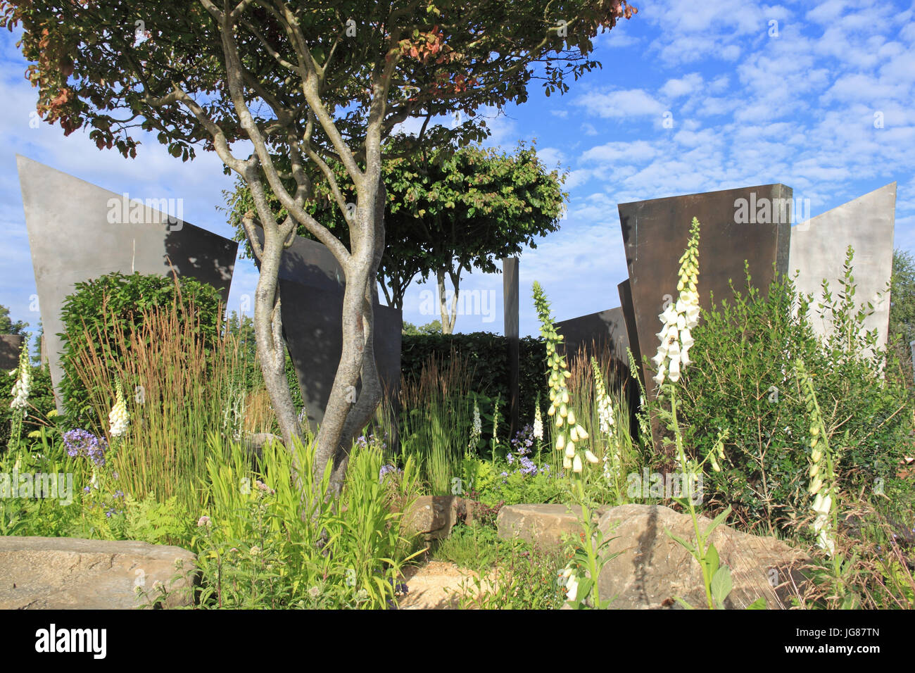 RHS 'guardare questo spazio', progettato Andy storioni. Visualizza giardino. RHS Hampton Court Palace Flower Show, Londra, Inghilterra, Regno Unito. Premere Anteprima il giorno 3 luglio 2017. Fiore annuale mostra organizzata dalla Royal Horticultural Society. Visualizza corre da martedì 4 luglio fino a domenica 9 luglio 2017. Ian bottiglia / Alamy Live News Foto Stock