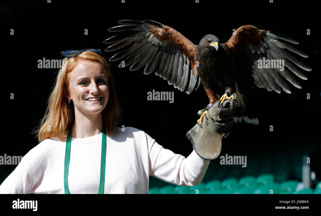 IMOGEN DAVIS , RUFUS WIMBLEDON HAWK PICCIONI SCARER, i campionati di Wimbledon 2017, i campionati di Wimbledon 2017, 2017 Foto Stock