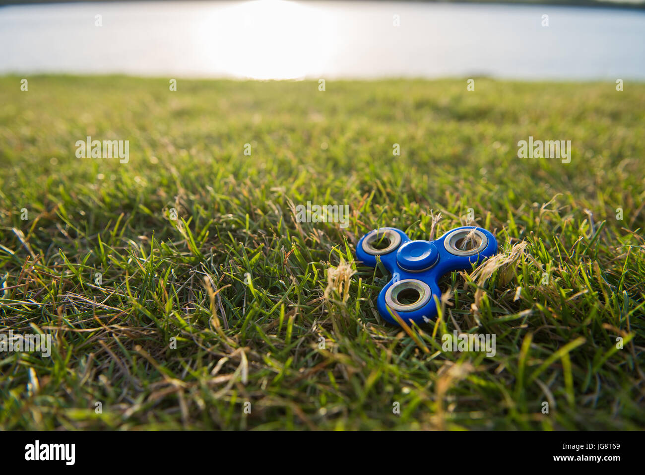 Blue Tri agitano: Mano spinner sull'erba verde Foto Stock