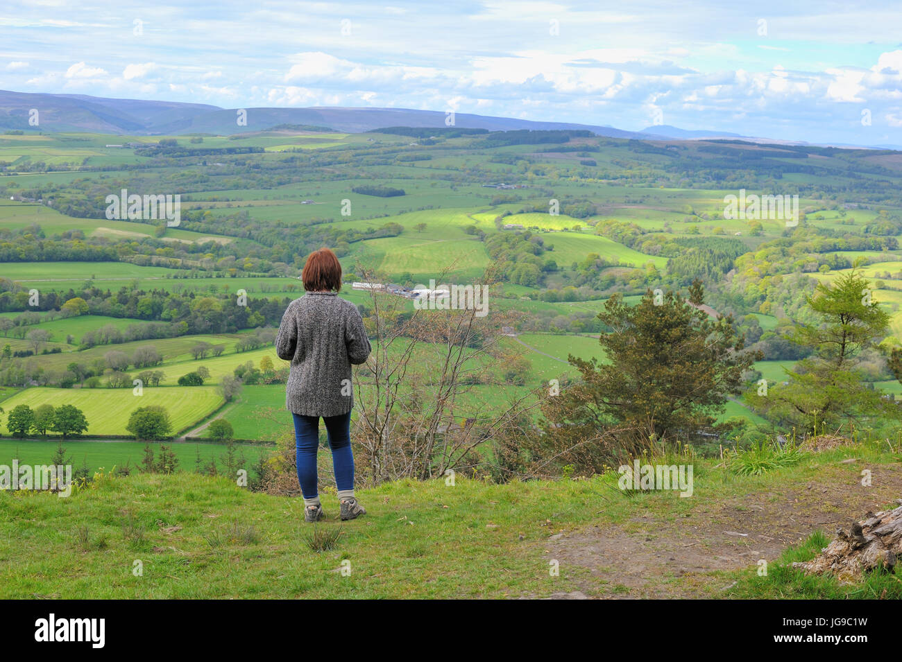 Guardando fuori attraverso la foresta di Bowland da Longridge cadde Foto Stock