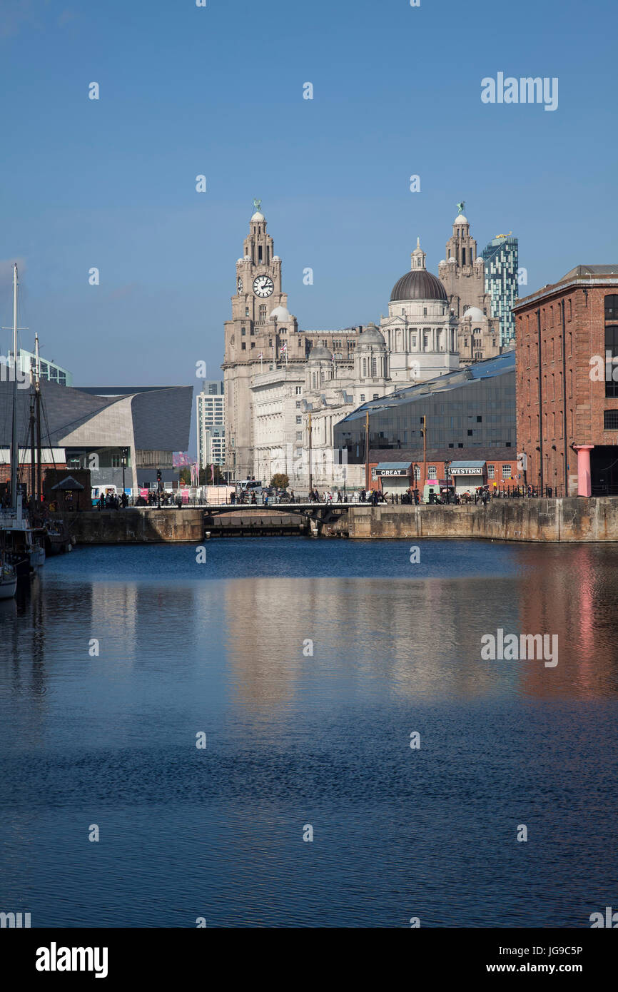 Royal Liver Building Liverpool visto dall'Albert Dock Foto Stock