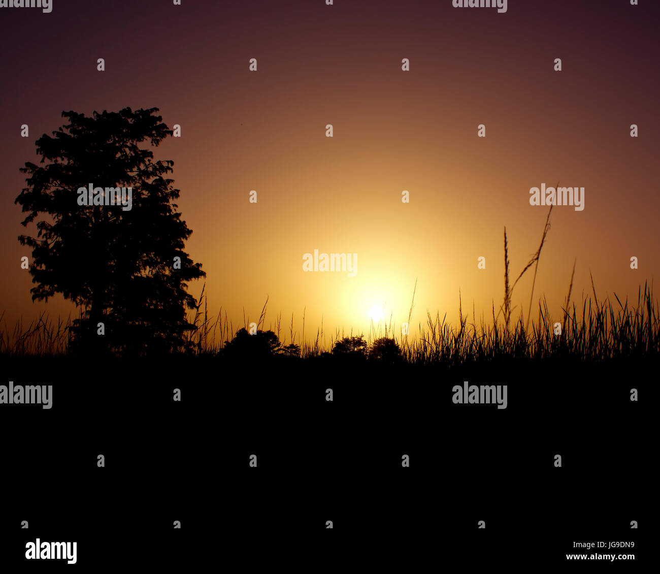 Polvere Africano realizzato per alcune belle e interessanti tramonti in Everglades della Florida. Foto Stock