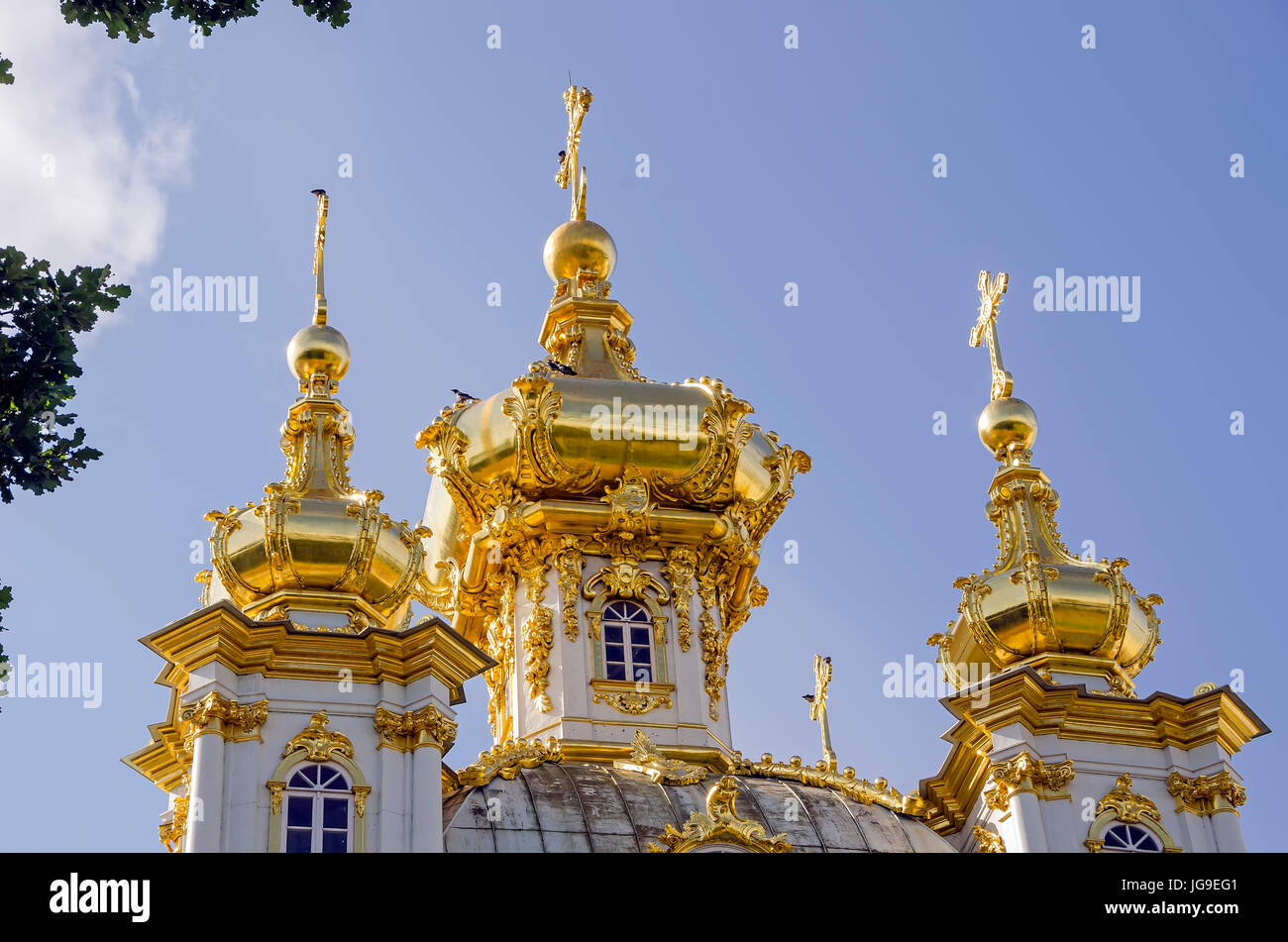Peterhof Palace cupole dorate di Pietro e Paolo Cattedrale al Grand Palace, nei pressi di San Pietroburgo, Russia Foto Stock