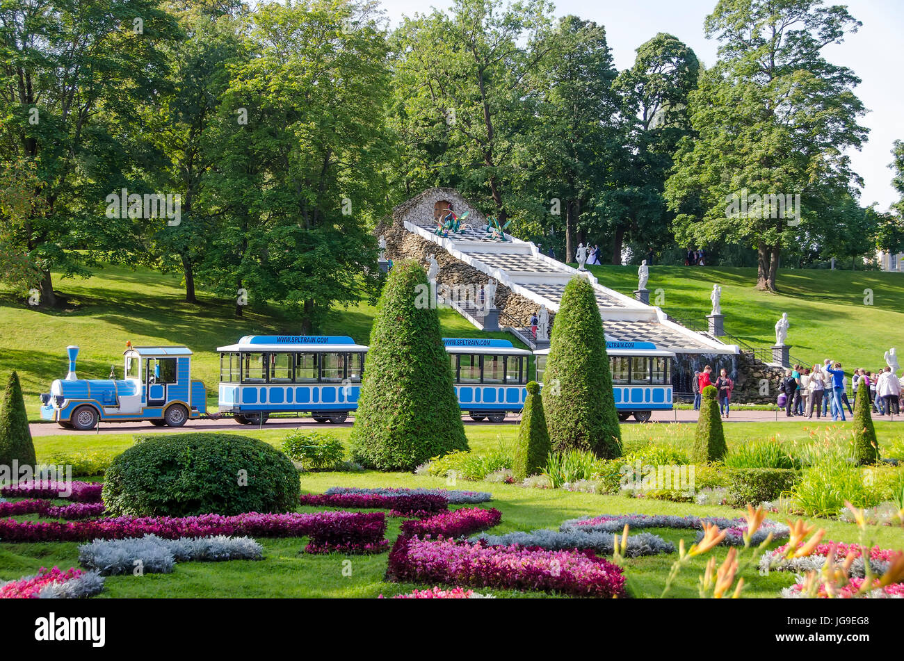 Peterhof Palace Chessboad Hill fontana a cascata e treno turistico nei pressi di San Pietroburgo, Russia Foto Stock