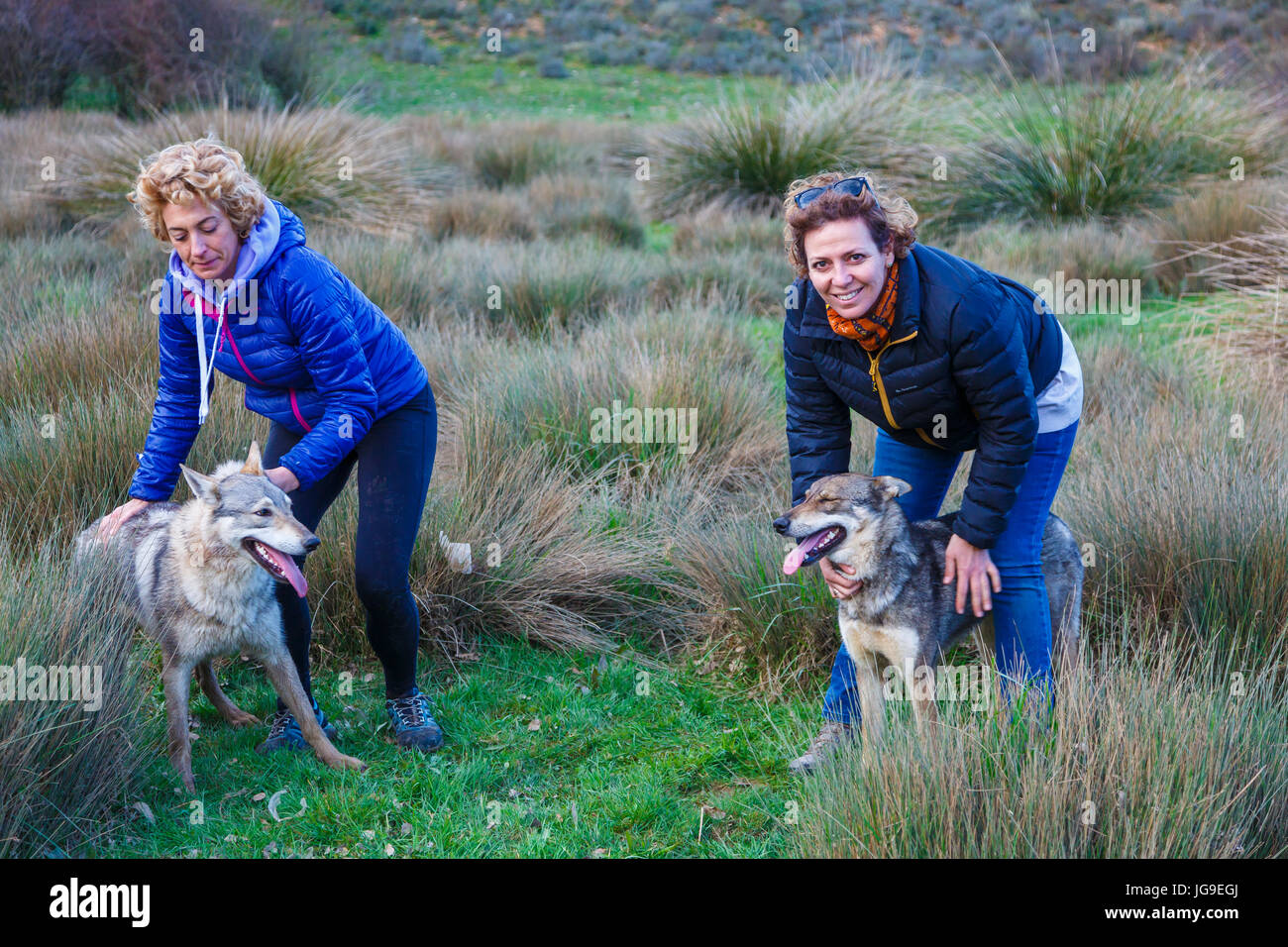 Wolfdogs cecoslovacco e donne Foto Stock