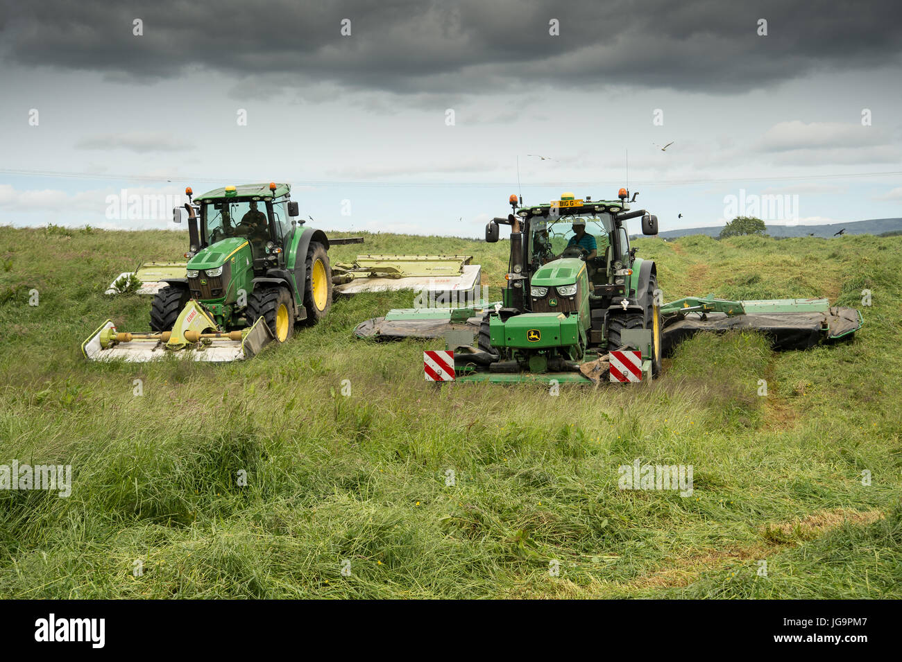 I trattori John Deere da insilato il taglio nel sud-ovest della Scozia Foto Stock