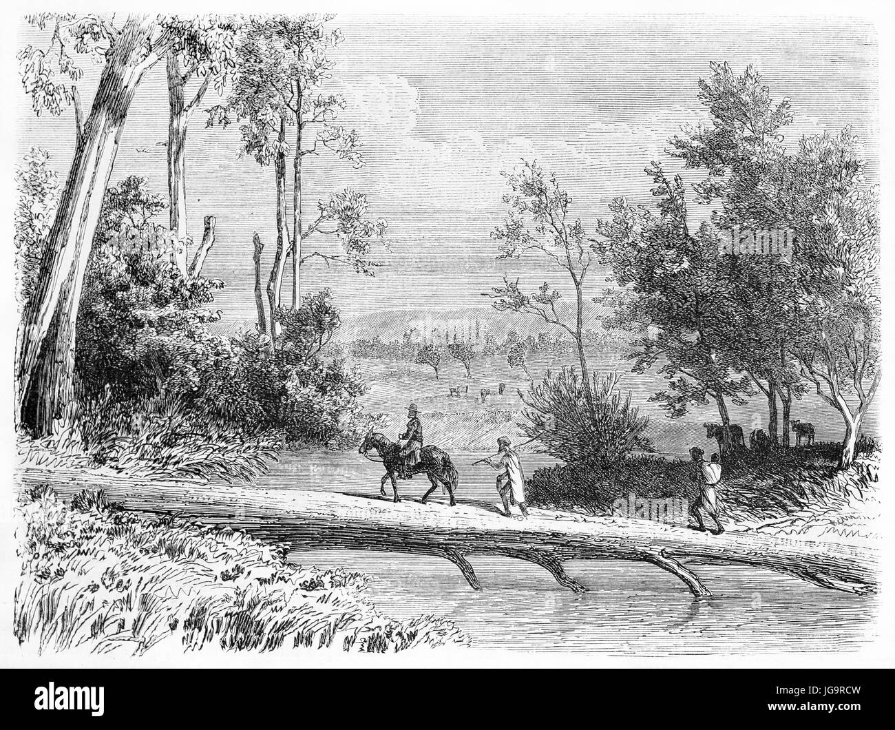 Vecchio vista del tronco di eucalipto passerella in Dalry stazione, lo stato di Victoria, Australia. Creato da Girardet e Gauchard, dopo De Castella, pubblicato o Foto Stock