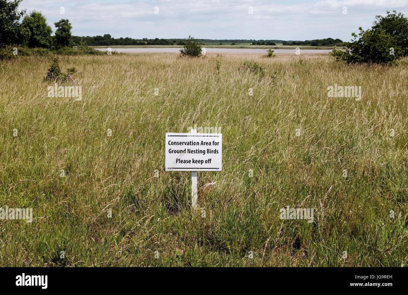 Snape Maltings Suffolk REGNO UNITO Giugno 2017 - Snape Maltings un centro di musica di arte e di eccezionale bellezza naturale Foto Stock