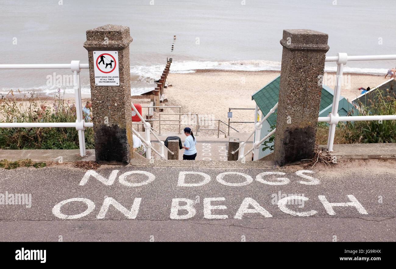 Southwold Suffolk REGNO UNITO - No cani sulla spiaggia segno Foto Stock
