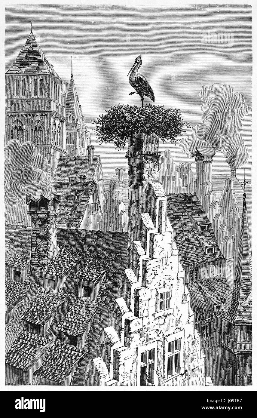 Cicogna una gamba in posa su un alto camino nido circondato da case tetti a Strasburgo sera, Francia. Antica incisione stile arte di Lancelot, 1861 Foto Stock