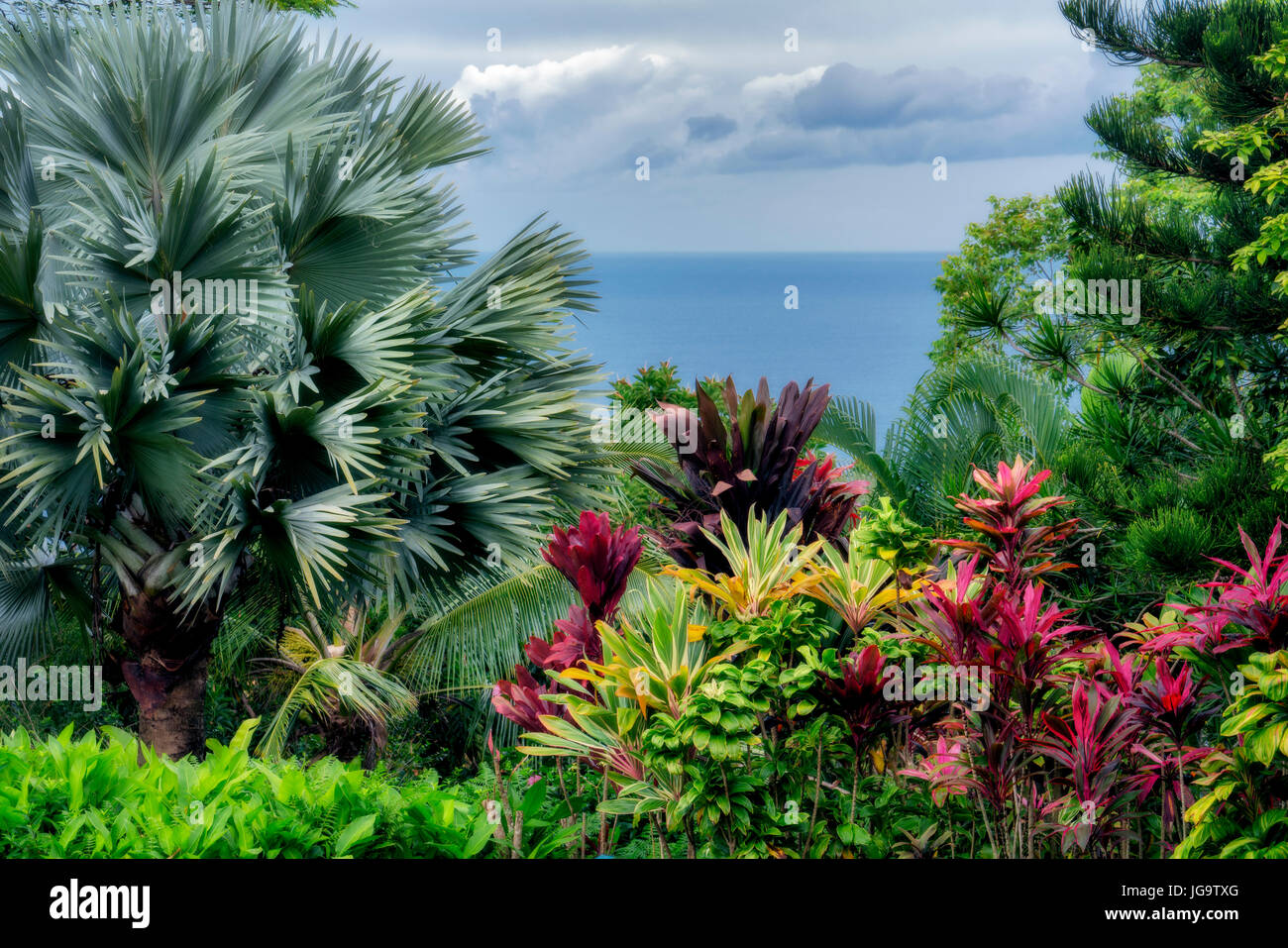 Il fogliame tropicale e l'oceano. Giardino di Eden Giardino Botanico di Maui, Hawaii Foto Stock