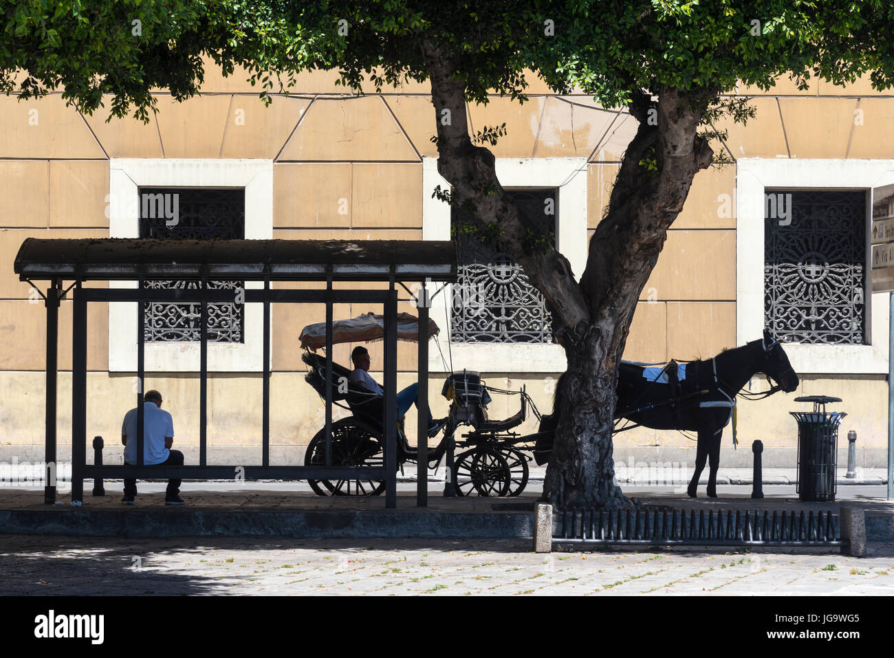 Cavallo e Carrozza in appoggio all'ombra sul Corso Vittorio Emanuele centrale di Palermo, Sicilia, Italia. Foto Stock