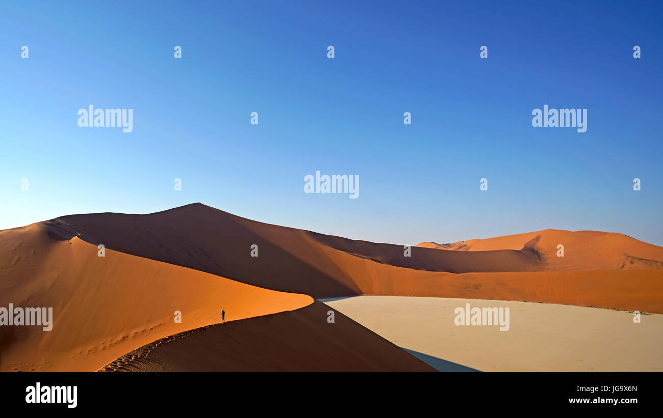 Dead Vlei e Big Daddy dune di Sossusvlei, Namib Naukluft National Park in Namibia Foto Stock