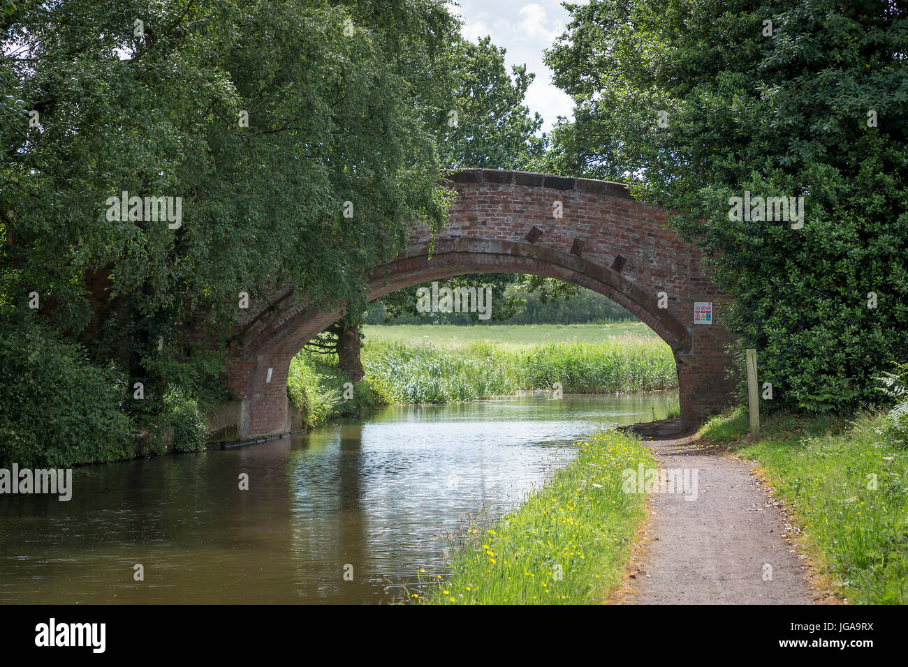 Antico ponte dove "Delph Lane passa sopra la Bridgewater Canal vicino a Daresbury, Warrington, Cheshire, Inghilterra Foto Stock
