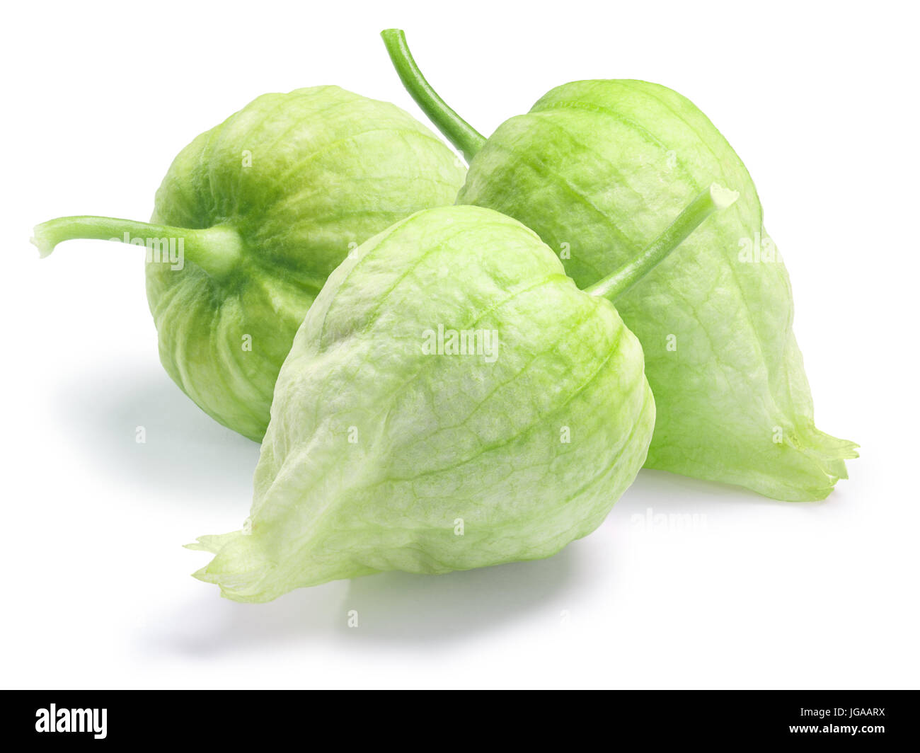 Tre Tomatillos verde (Physalis philadelphica) nella propria lolla. I tracciati di ritaglio, shadow separati Foto Stock