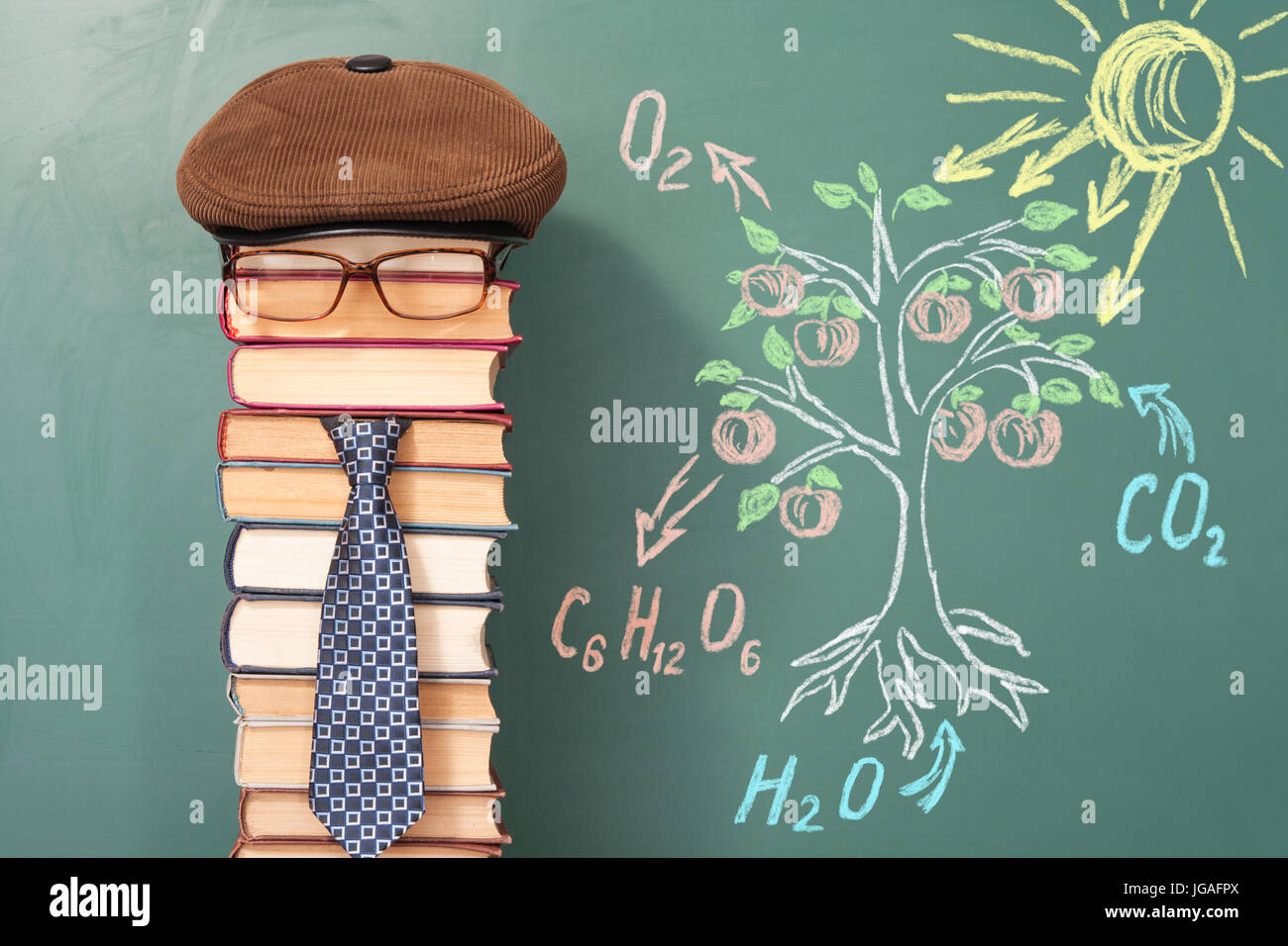 Il maestro dimostra il principio della fotosintesi Foto Stock