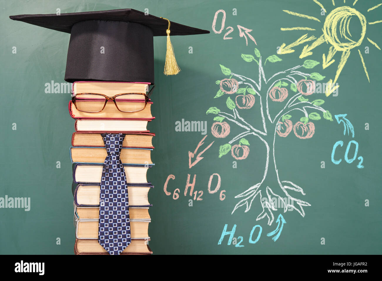 Il maestro dimostra il principio della fotosintesi Foto Stock