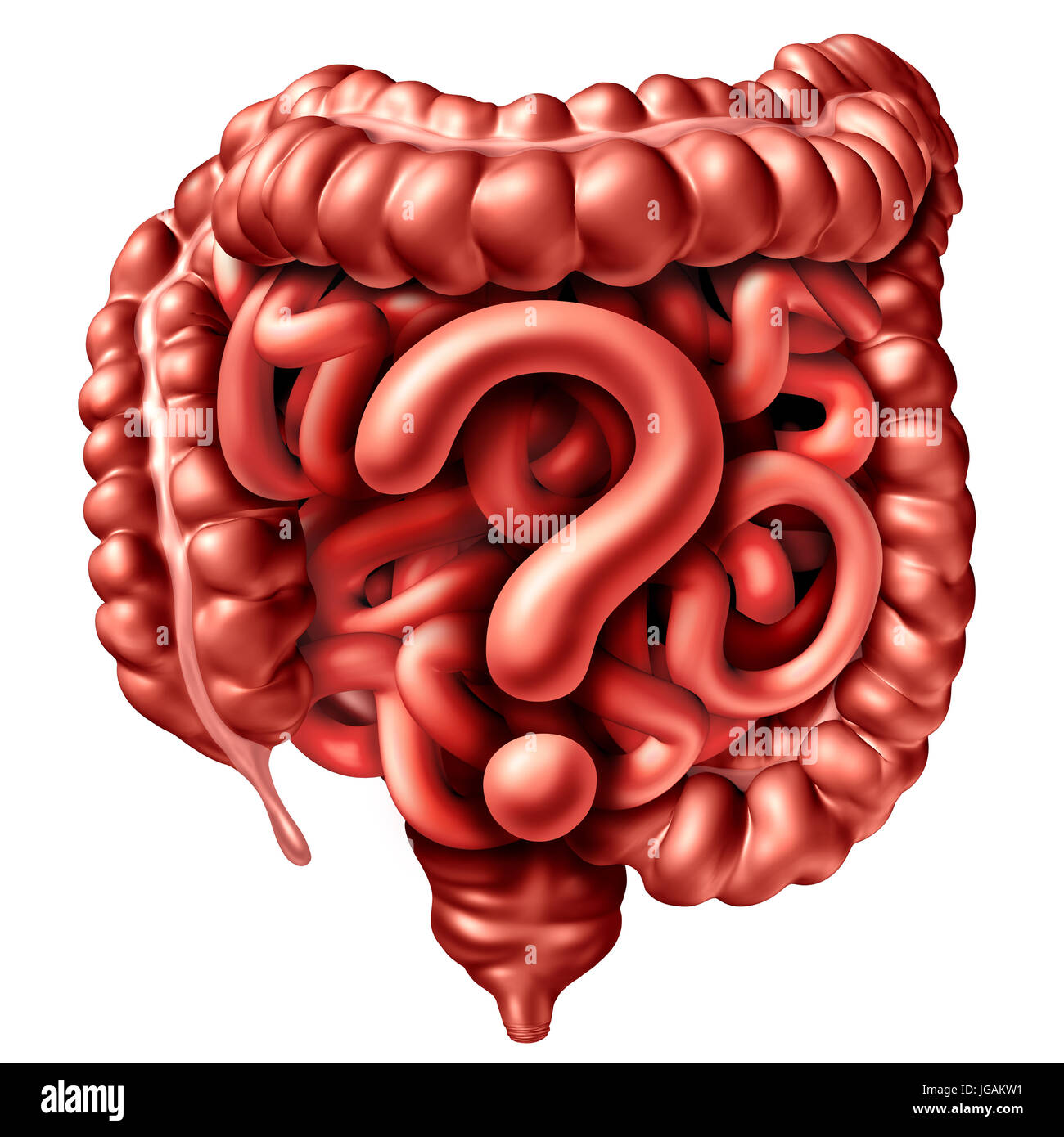 Domande di digestione come l'intestino umano e del colon conformata come un apparato gastrointestinale punto interrogativo come un simbolo per la colonscopia. Foto Stock