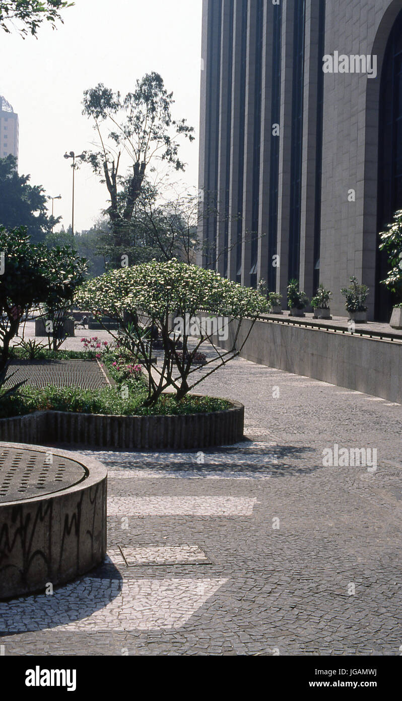 Alberi, piante, Avenida Paulista, São Paulo, Brasile Foto Stock