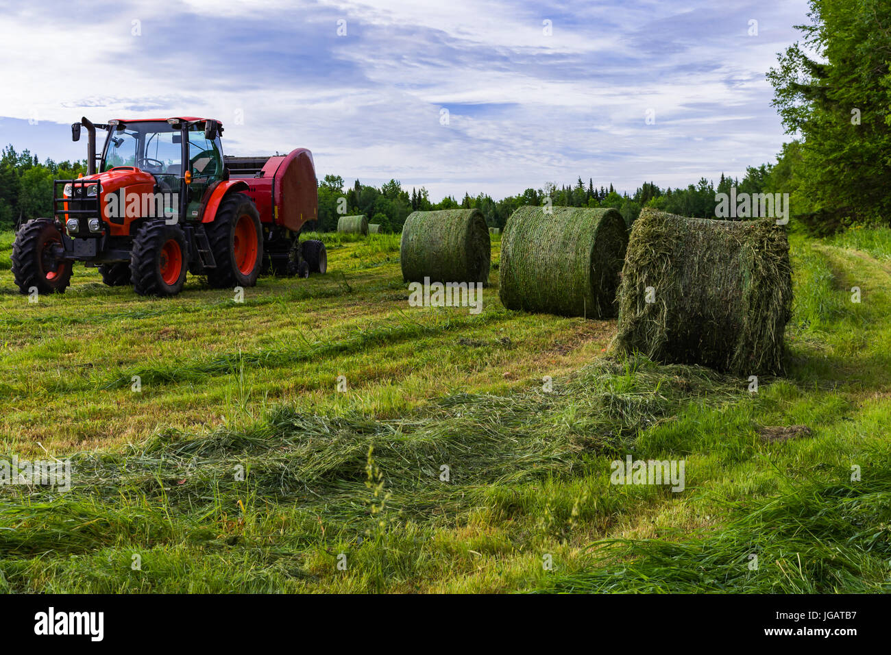 Fienagione rotopressa e balle di fieno nel campo Inizio su una soleggiata mattina d'estate. Foto Stock