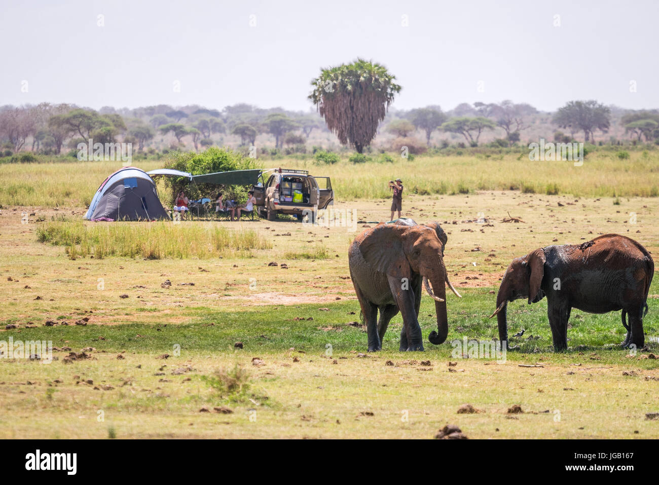 Gli elefanti oltre il lago Jipe accanto alla famiglia campeggio, Tsavo West national park, Kenya Foto Stock