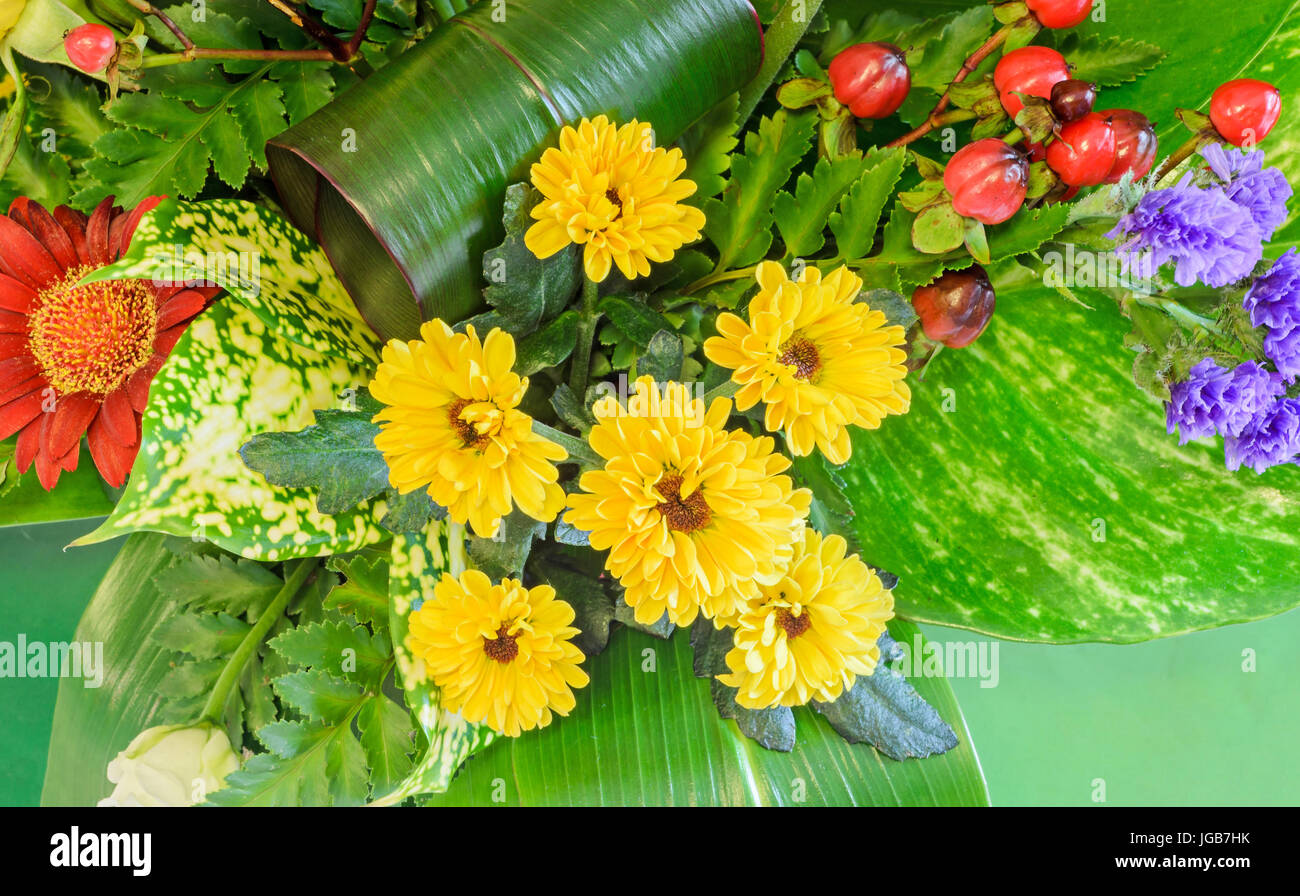 Bouquet, composizioni floreali con chrysantemus, rose bianche, colorato di rose selvatiche, rosso Pyracantha bacche, vicino. Foto Stock