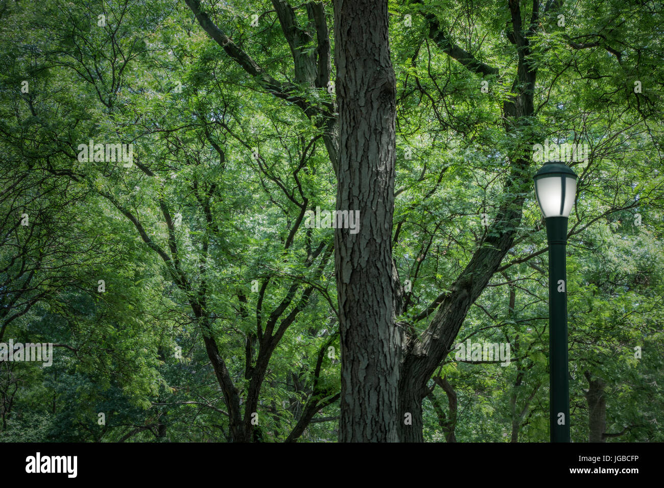 Crepuscolo city park con street lampada posta sul Foto Stock