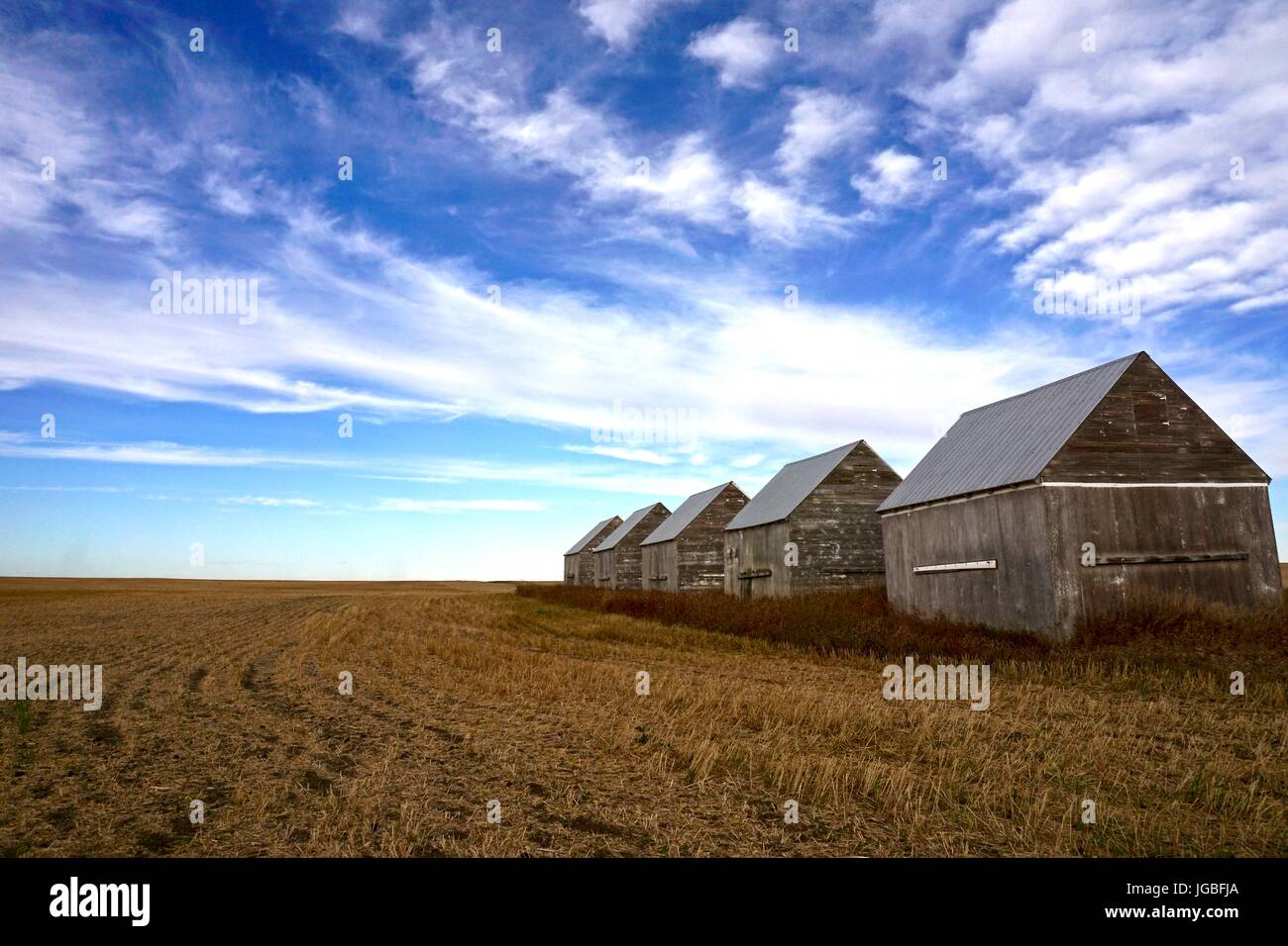 Fila di vecchi fienili sotto grande prairie sky Foto Stock