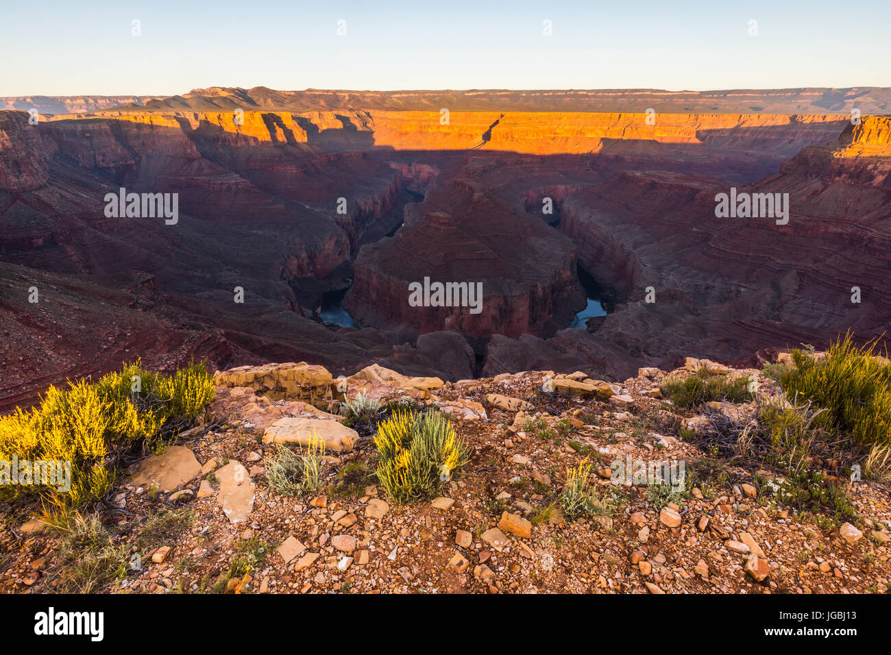 Punto Tatahatso, con vista sul fiume Colorado, Northern Arizona, Stati Uniti d'America Foto Stock