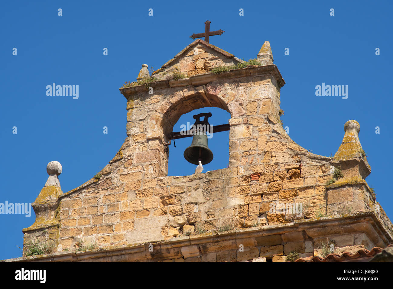 Colomba seduto su entrata arch torre campanaria di Iglesia de Santa María de la Asunción, Laredo, Cantabria, SPAGNA Foto Stock