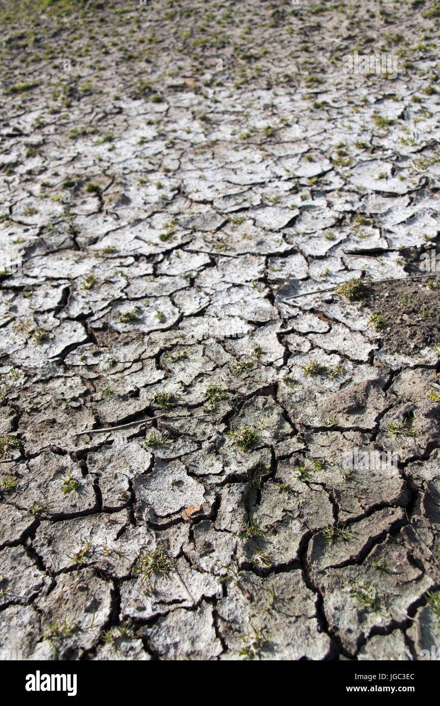 Il fango è incrinata e asciugata durante il periodo di siccità. Yorkshire, Regno Unito. Foto Stock