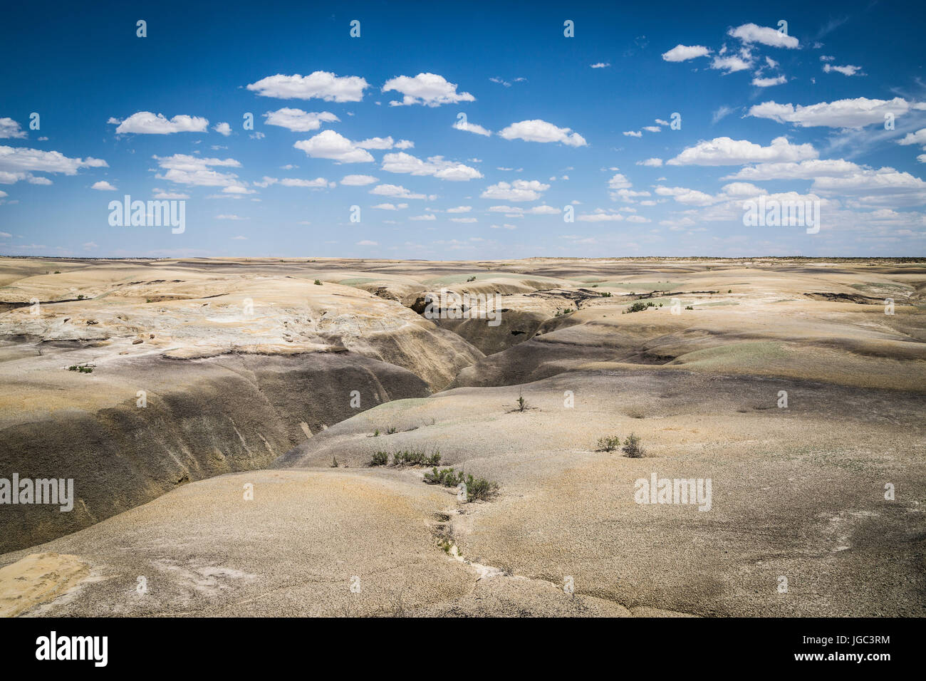 Ah-Shi-Sle-Pah Wilderness Area Studio, Nuovo Messico, STATI UNITI D'AMERICA Foto Stock