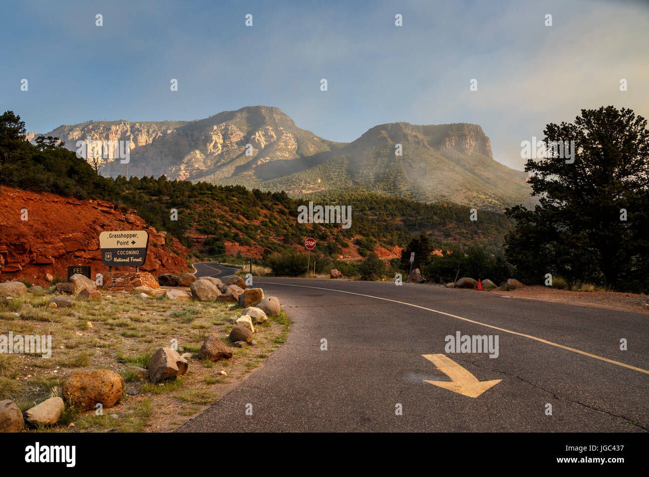 Coconino National Forest, Arizona, Stati Uniti d'America Foto Stock