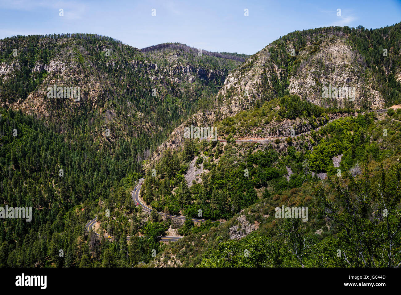 Coconino National Forest, Arizona, Stati Uniti d'America Foto Stock