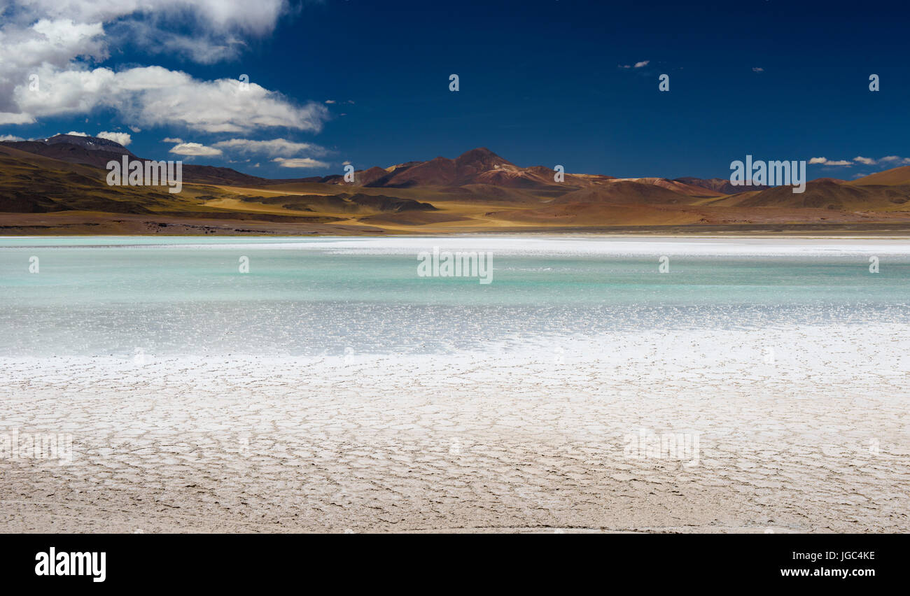 Tuyajto lago, il deserto di Atacama, Cile Foto Stock