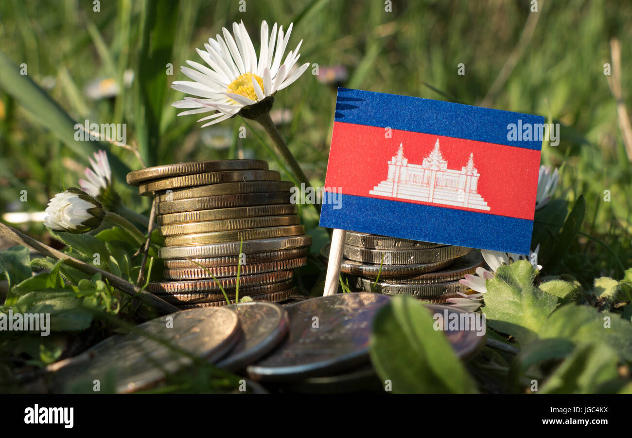 Bandiera della Cambogia con la pila di denaro monete con erba e fiori Foto Stock