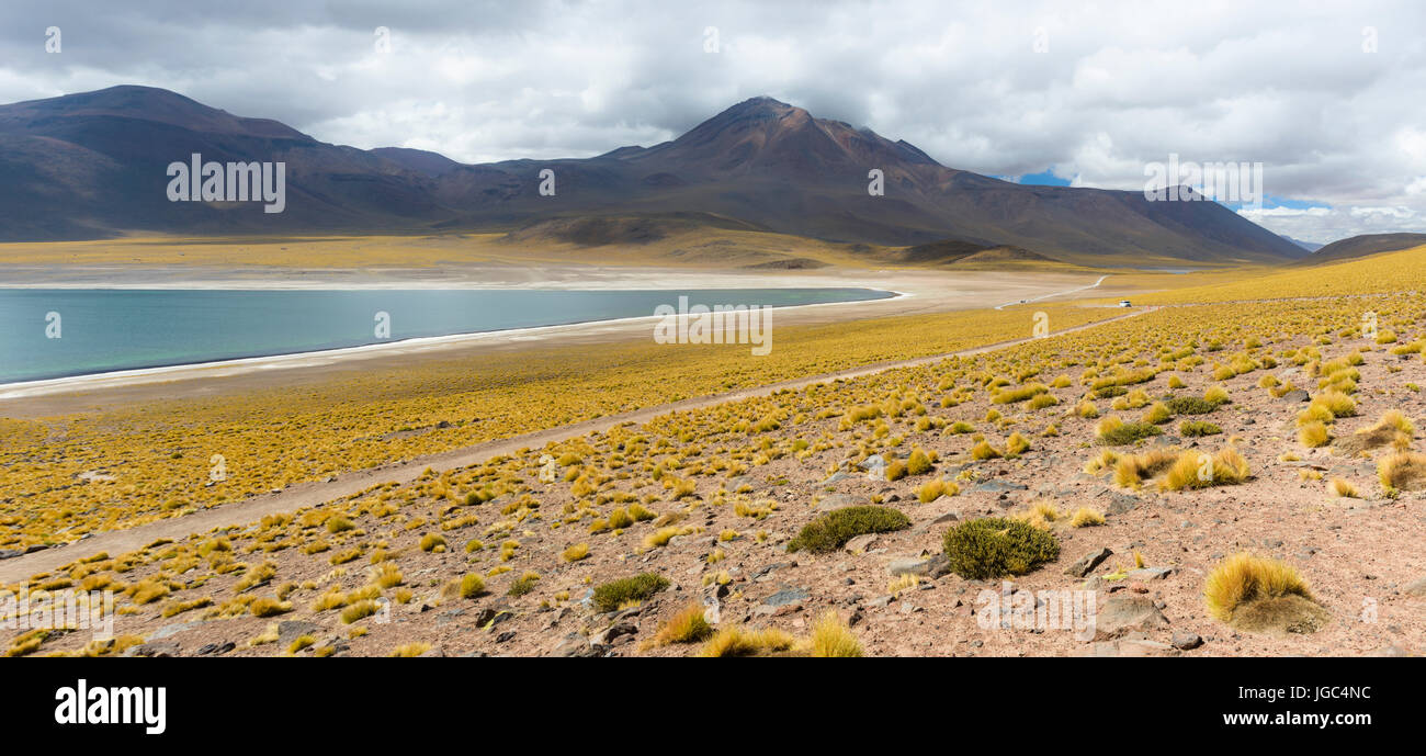Miscanti lago, il deserto di Atacama, Cile Foto Stock