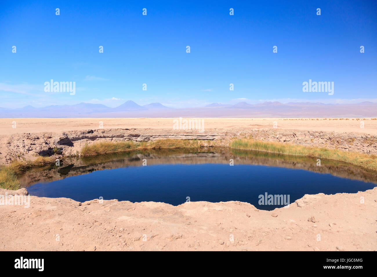 Laguna Cejar, los Flamencos riserva nazionale, il Deserto di Atacama, Cile, Sud America Foto Stock