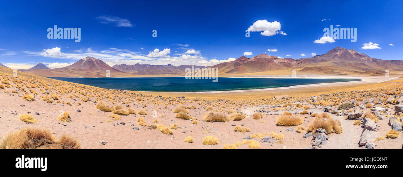 Laguna Miscanti, los Flamencos riserva nazionale, il Deserto di Atacama, Cile, Sud America Foto Stock