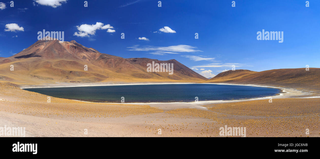 Laguna Miniques, los Flamencos riserva nazionale, il Deserto di Atacama, Cile, Sud America Foto Stock