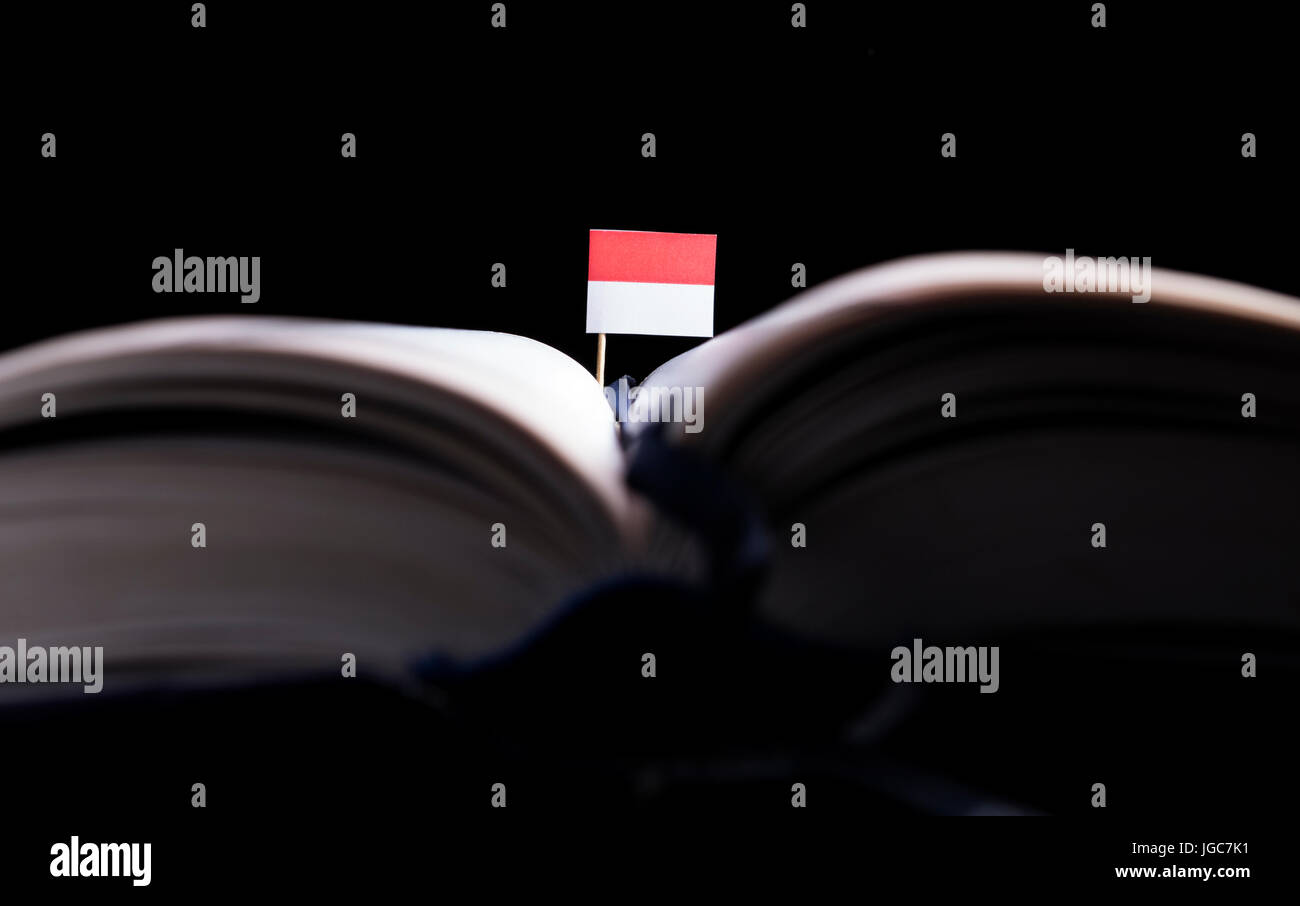 Bandiera di Monaco nel mezzo del libro. Conoscenza e concetto di istruzione. Foto Stock