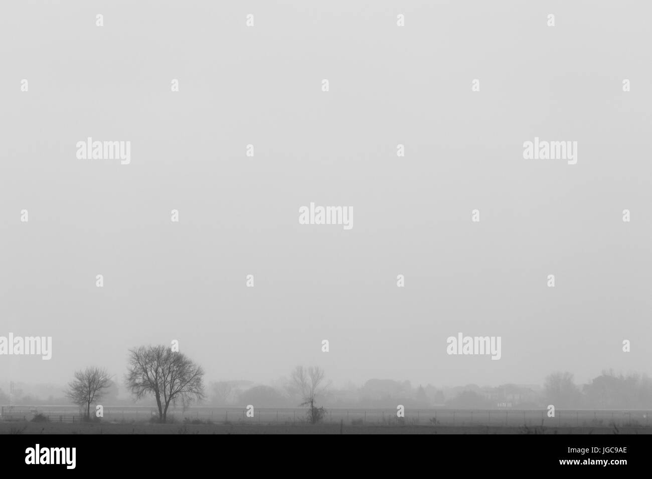 Una visione minimalista di alcuni alberi lontani nella nebbia Foto Stock