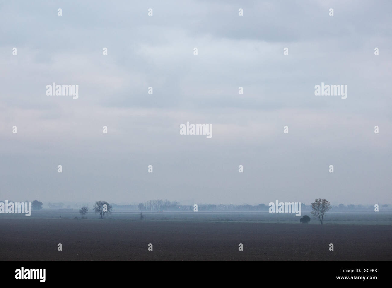 Una visione minimalista di alcuni alberi lontani nella nebbia Foto Stock