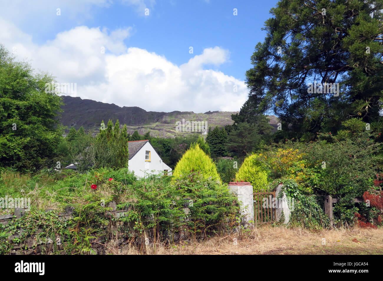 Glengarriff, Irlanda Foto Stock