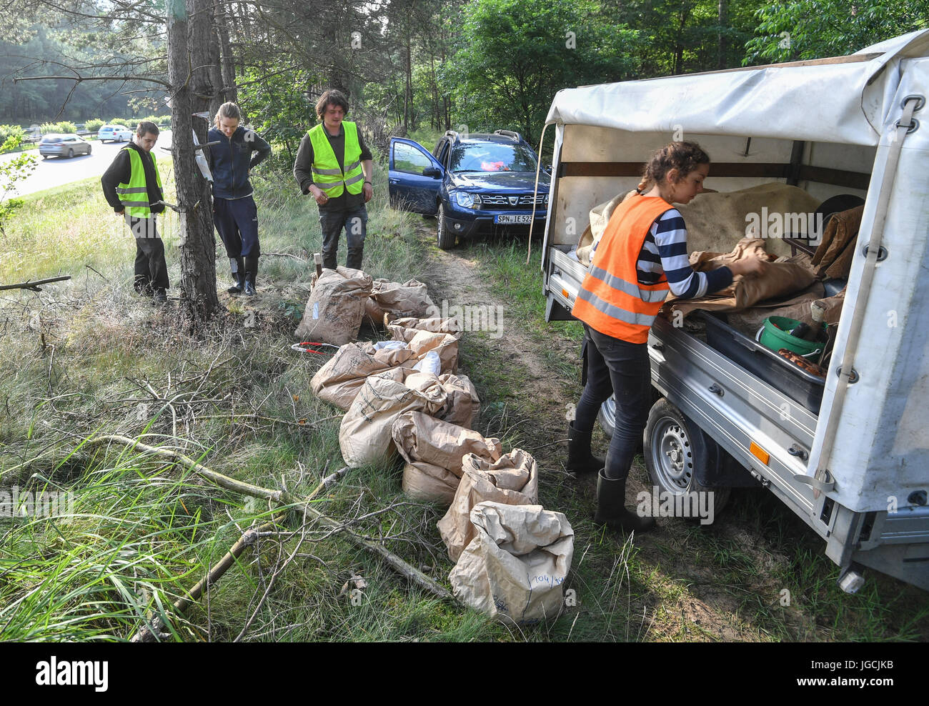Birkenwerder, Germania. 04 Luglio, 2017. Co-lavoratori di Christina Graetz, certified biologo e amministratore delegato della società Nagola ri GmbH, caricare sacchi riempiti con anthills in una foresta all'autostrada A10 nei pressi di Birkenwerder, Germania, 04 luglio 2017. Foto: Patrick Pleul/dpa-Zentralbild/dpa/Alamy Live News Foto Stock