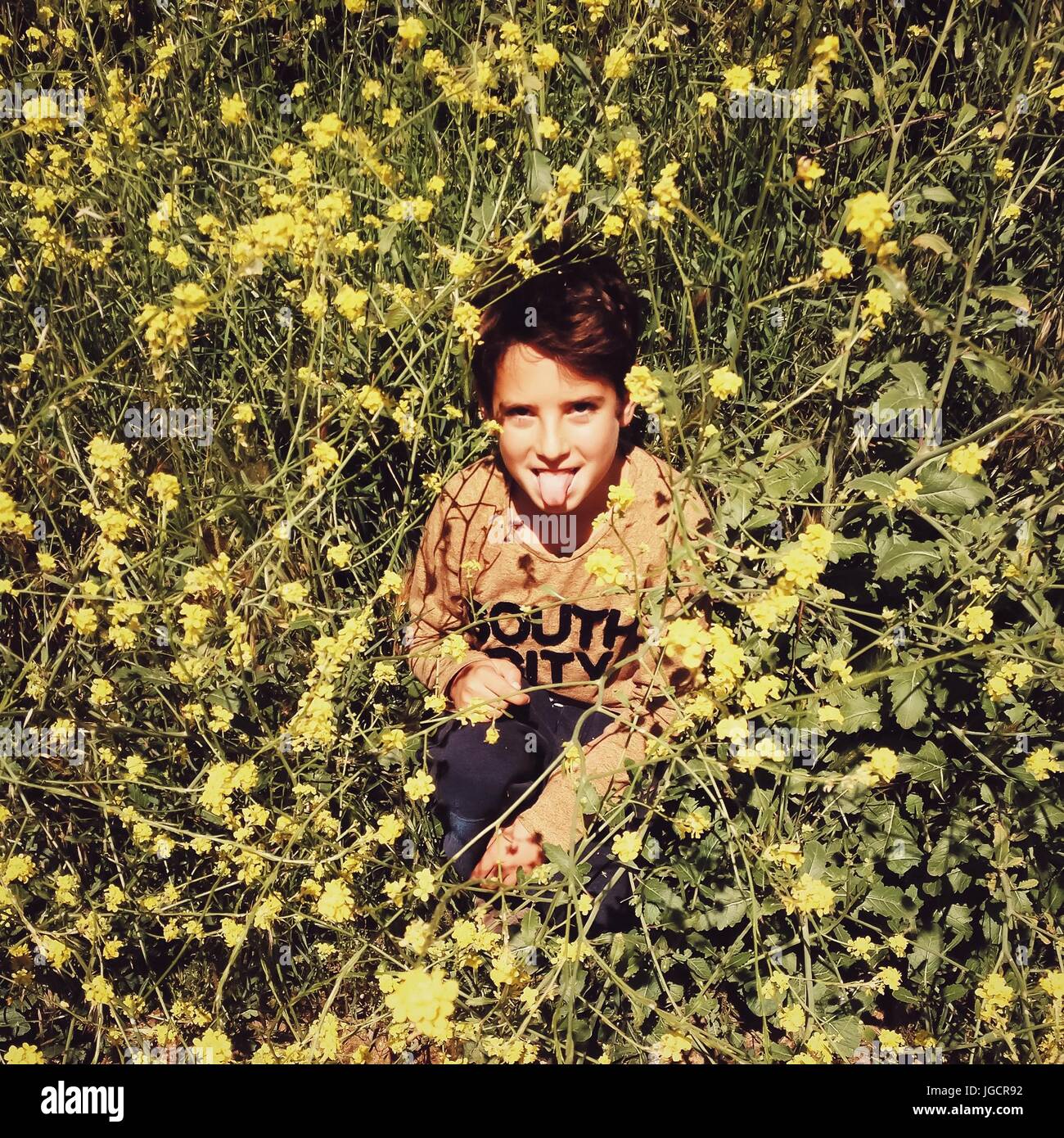 Ragazzo seduto in un campo di fiori selvatici il suo incollaggio con la lingua fuori Foto Stock