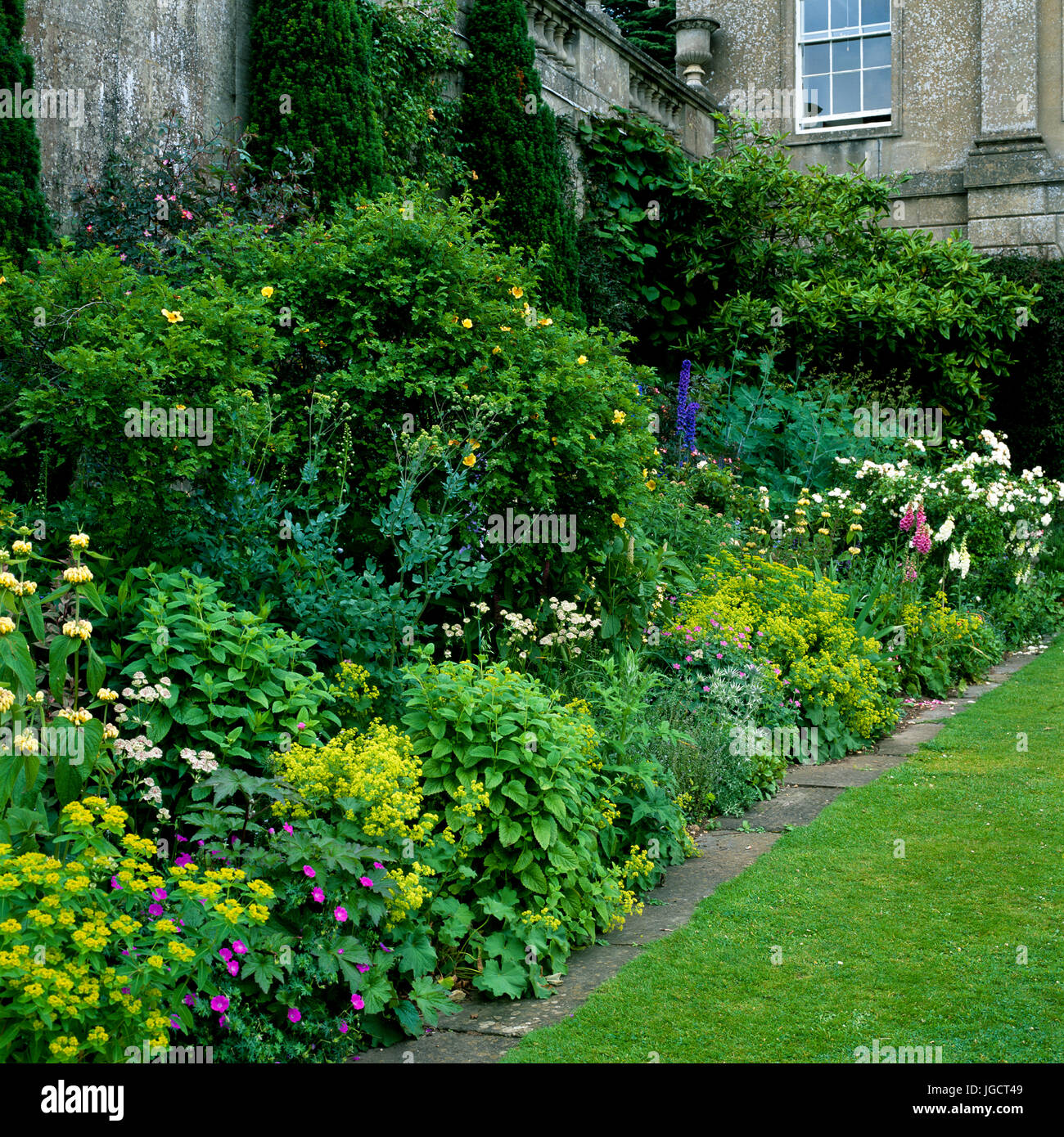 Letto di fiori nel giardino Foto Stock