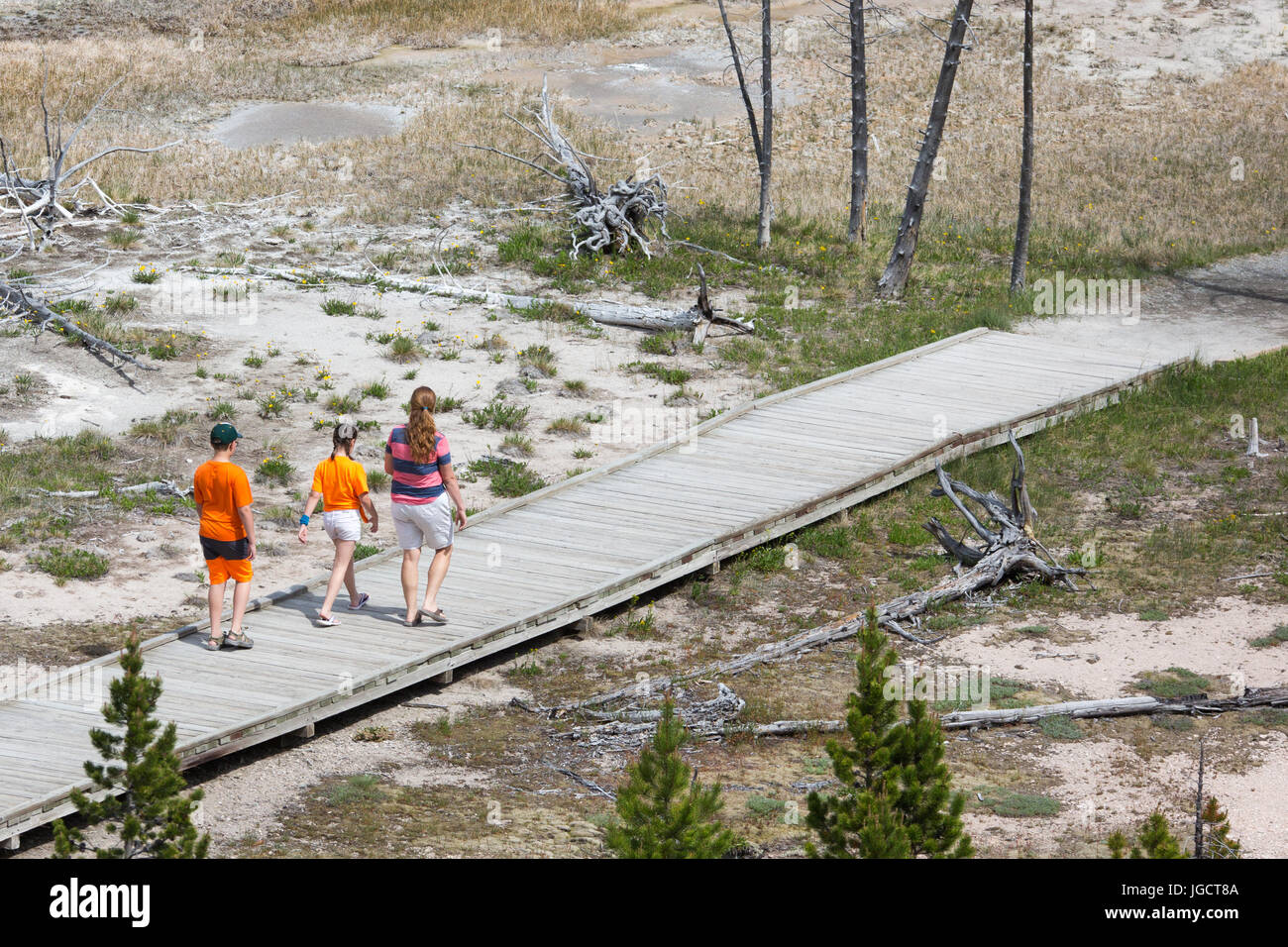 Una donna e due bambini sono a piedi sul lungomare degli artisti Paintpots Trail nel Parco Nazionale di Yellowstone Foto Stock