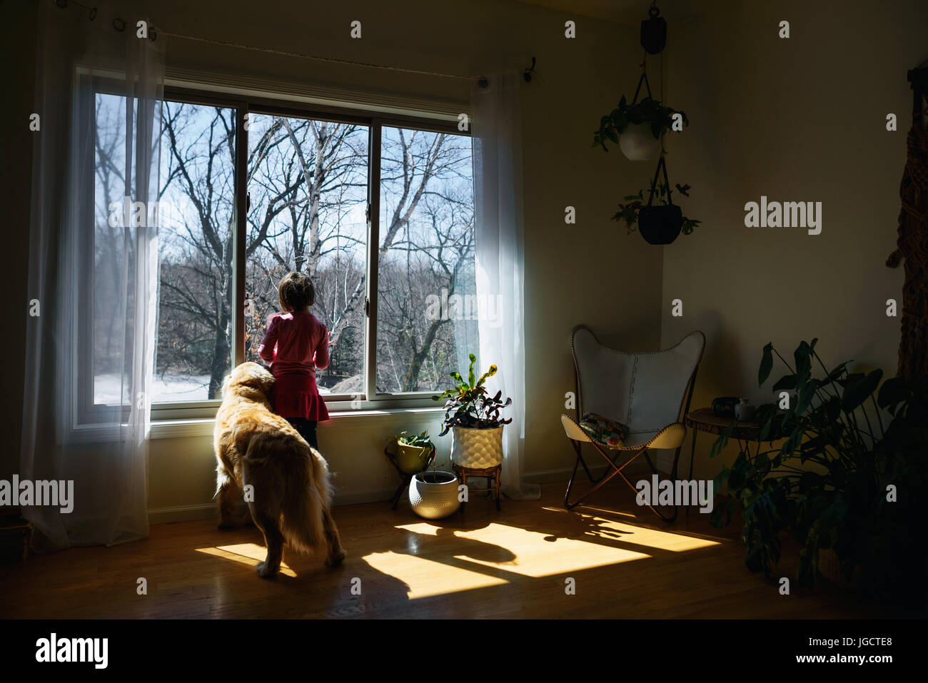 Ragazza e il golden retriever cane di guardare attraverso una finestra Foto Stock