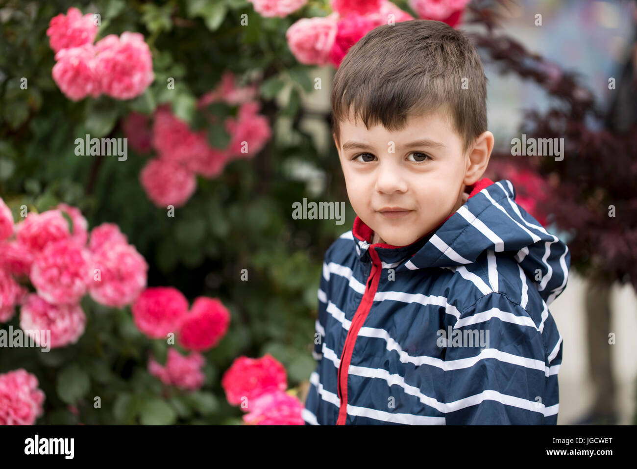 Ritratto di un ragazzo sorridente in piedi di fronte a un rosaio Foto Stock
